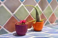 créer un site web pour montrer faience décorative